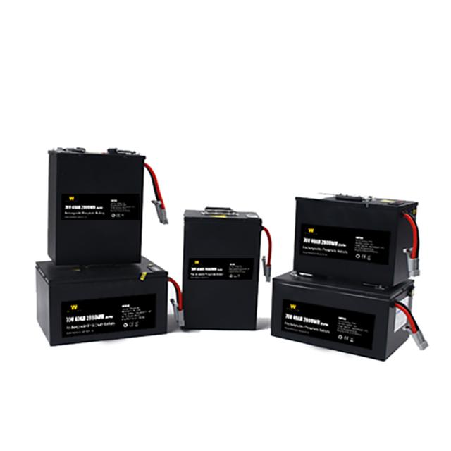 Schwarzes Lithium Ion Motorcycle Battery With Bms Lifepo4 72V40Ah 1
